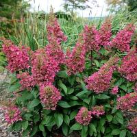 7c9e2859-21b8-11f0-8918-246e9611e8f6-1