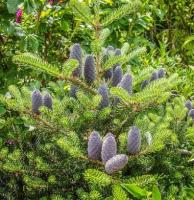 a1b6810b-c1df-11ef-8915-246e9611e8f5-1