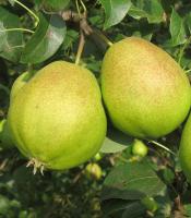 3660e7d2-29c5-11f0-8918-246e9611e8f6-1