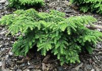 106a6c75-c37f-11ef-8915-246e9611e8f5-1