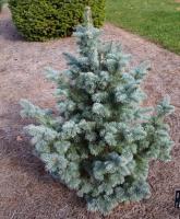 a9cf7b57-d4ed-11f0-891e-246e9611e8f6-1