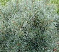 aef5c3fc-c362-11ef-8915-246e9611e8f5-1