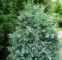 eddc72f3-cf9c-11e4-9bdf-001e673ebdea-1