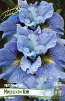 8cfa9726-72ba-11ec-8bcd-005056c00008-1