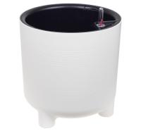 85a968fd-fca0-11ee-890b-246e9611e8f5-1