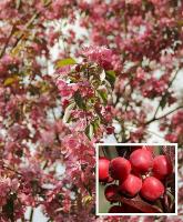 14465c9f-2fe2-11f0-8918-246e9611e8f6-1