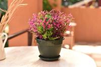 8708dff3-5679-11ed-aea3-001e673ebdea-1