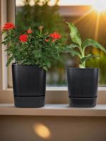 75aa3b86-da7f-11f0-891e-246e9611e8f6-1