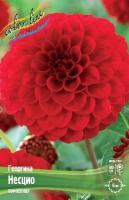 20c3edea-2240-11e0-9fb4-00500454e615-1