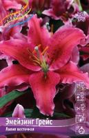 f7587bb1-357d-11eb-b90a-005056c00008-1