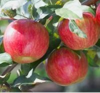 c17ddb74-bb19-11f0-891d-246e9611e8f7-1