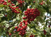 d7ef89ed-bae6-11f0-891d-246e9611e8f7-1