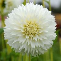 dcce4bf8-17b3-11e8-9960-005056c00008-1