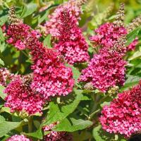 f763c009-d01a-11f0-891e-246e9611e8f6-1