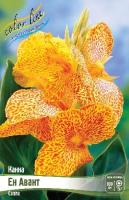 c259e974-278c-11df-882b-0019dbe91ea3-1