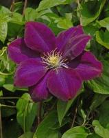 68ecff8a-d023-11f0-891e-246e9611e8f6-1