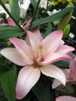 edc7af32-675b-11ed-bd4c-001e673ebdea-1