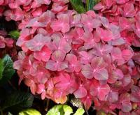 4cd03d1e-67a2-11ed-bd4c-001e673ebdea-1