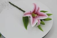 3e78442a-5a43-11f0-891b-246e9611e8f7-1