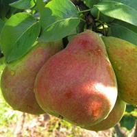 fd0bd630-be2c-11f0-891d-246e9611e8f7-1