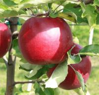 d9a65e89-baf6-11f0-891d-246e9611e8f7-1