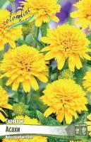 2adde678-5608-11ea-ab37-005056c00008-1