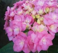 0a4ca7ab-ce90-11f0-891e-246e9611e8f6-1