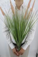 c0330973-5a62-11f0-891b-246e9611e8f7-1