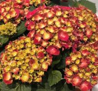 4d57b6b8-ce98-11f0-891e-246e9611e8f6-1