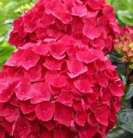 c88ef4ad-dea9-11e4-ab27-001e673ebdea-1