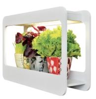 27736e51-5683-11ec-9a2a-005056c00008-1