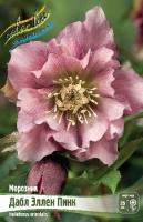 64e2e186-62ff-11ed-bd4c-001e673ebdea-1