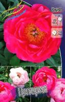 4338a93b-f2a2-11e5-9ba7-001e673ebdea-1