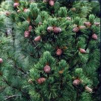 1e2d7b45-d73e-11f0-891e-246e9611e8f6-1