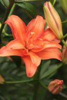 37cde751-9224-11e3-8625-001e673ebdea-1