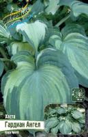 ce85553e-2e87-11e8-a7ea-005056c00008-1