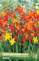 8bf7de3d-889f-11e2-8ea8-00500454e615-1