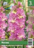 74cc5d51-b43e-11ee-8bd7-001e673ebdea-1