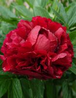 ee4224a5-ffe2-11ef-8915-246e9611e8f5-1