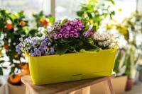 65ca6996-a6c3-11ed-8508-001e673ebdea-1