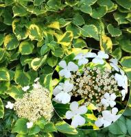 3ef02041-c16a-11f0-891d-246e9611e8f7-1