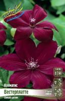 d3aec442-4c90-11e0-99a9-00500454e615-1