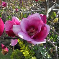 79f7d3da-74a0-11ec-8bcd-005056c00008-1