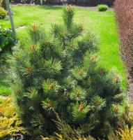 8902e304-d764-11f0-891e-246e9611e8f6-1