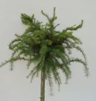 155b5966-e68b-11ee-890a-246e9611e8f5-1