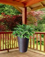 1409baa6-df18-11f0-891e-246e9611e8f6-1