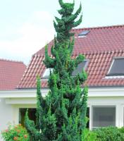 bcc62127-3a52-11e8-a7ea-005056c00008-1