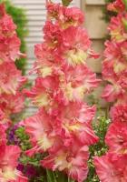 3565f098-7141-11ec-8bcd-005056c00008-1