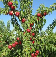 6194f10f-d334-11ef-8915-246e9611e8f5-1