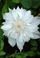 72e1273c-e787-11e5-9ba7-001e673ebdea-1